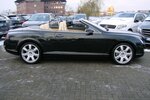 Bentley Continental GTC 6.0 W12 Navi Leder Xenon Windschot 76.559 km 59.980 &euro; Falkensee 14612
