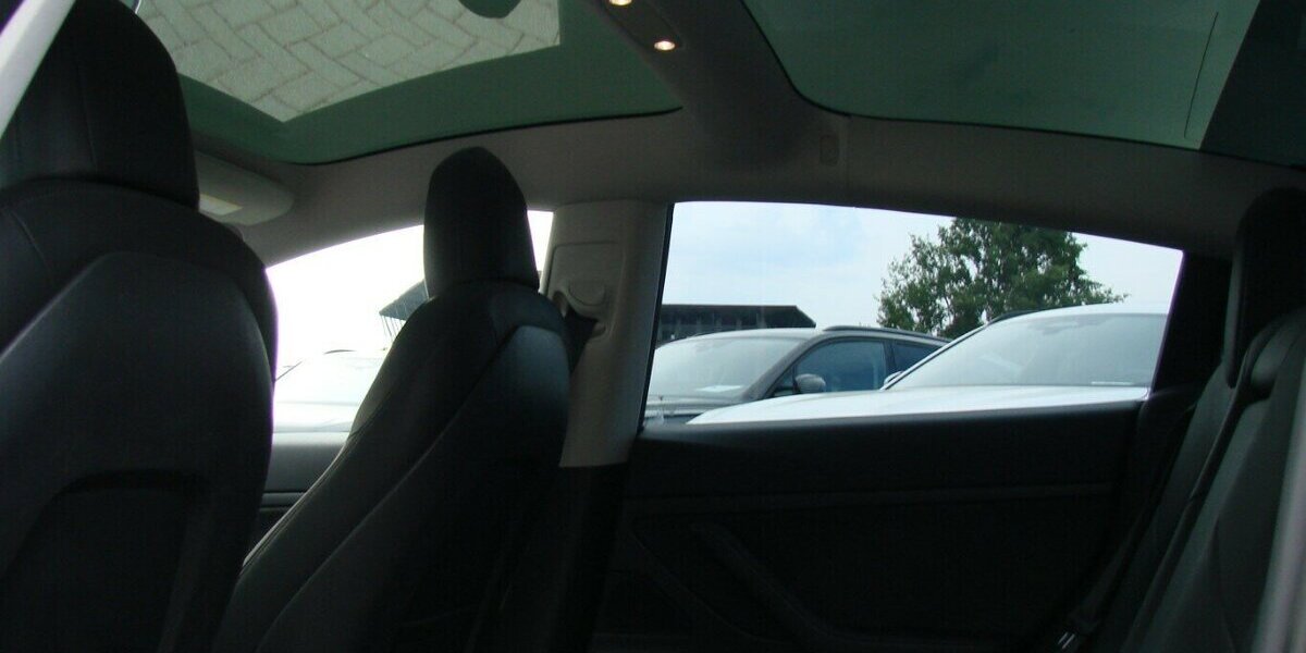 Tesla Model 3 Standard Range Plus RWD LED ACC Pano Kamer 71.978 km 23.980 &euro; Falkensee 14612