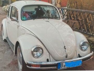 Gebrauchte VW Käfer