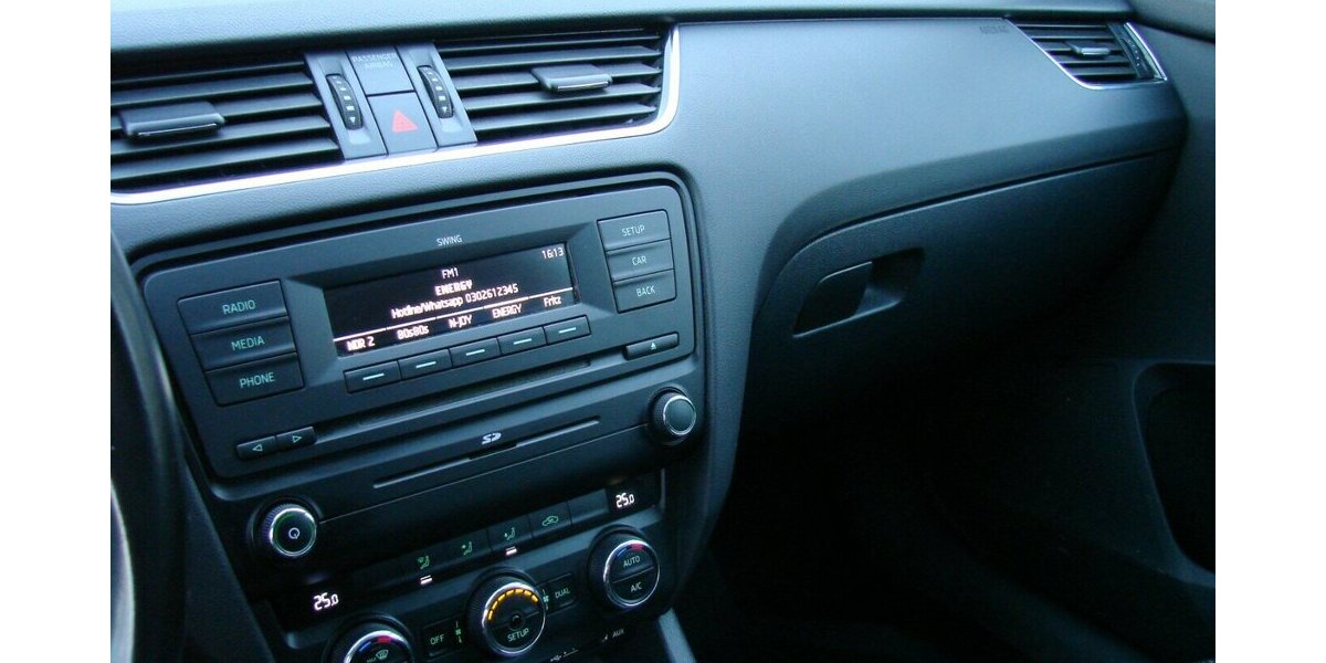 Skoda Octavia 2.0TDI Ambition Tempomat AHK Klima 261.072 km 4.980 &euro; Falkensee 14612