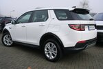 Land Rover Discovery Sport P300e Hybrid S AWD LED 360º Leder 56.432 km 23.980 &euro; Falkensee 14612