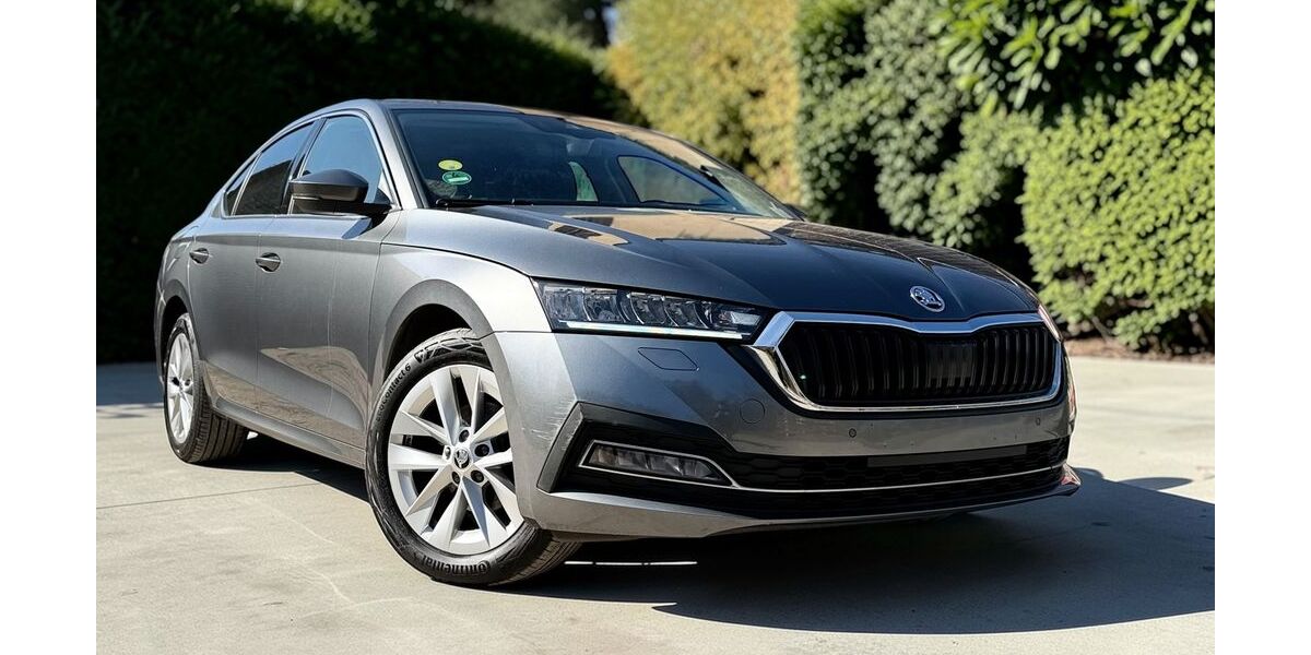 Skoda Octavia 99.093 km 17.999 &euro; Potsdam 14482