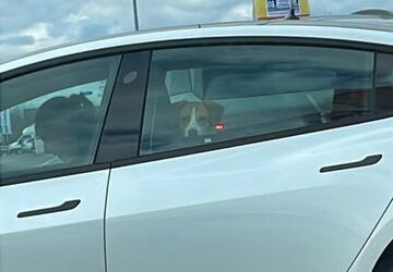 Tesla Model 3 20.000 km 725.000 &euro; Kleinmachnow 14532