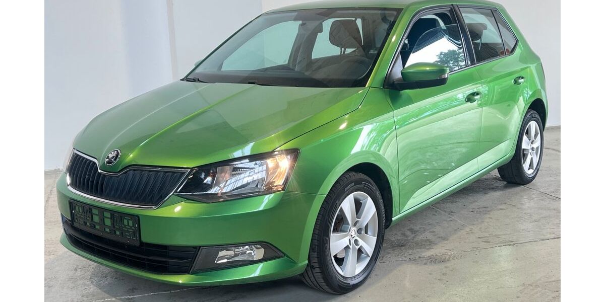 Skoda Fabia 60.385 km 9.999 &euro; Potsdam-Drewitz b.Berlin 14478
