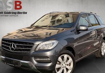 Mercedes-Benz ML 250 178.100 km 19.499 &euro; Berlin 12055