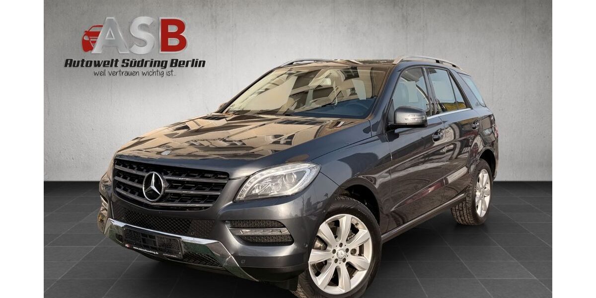 Mercedes-Benz ML 250 178.100 km 19.899 &euro; Berlin 12055