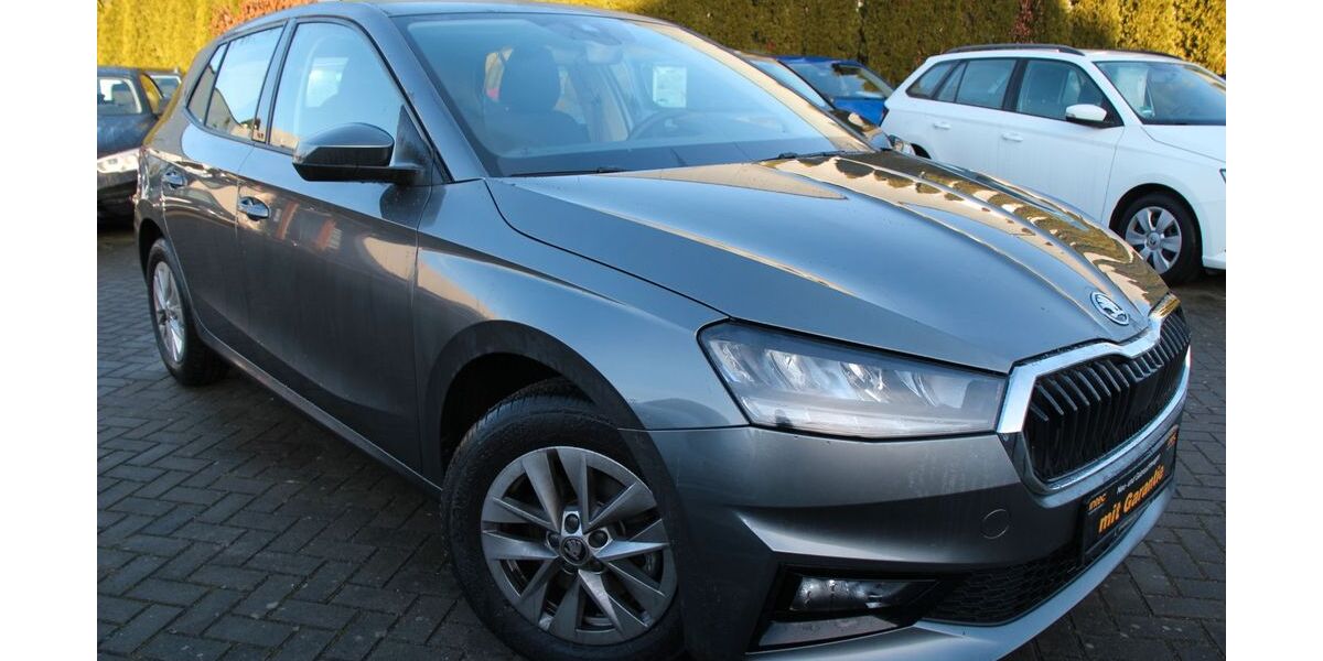 Skoda Fabia 3.876 km 19.990 &euro; Falkensee 14612