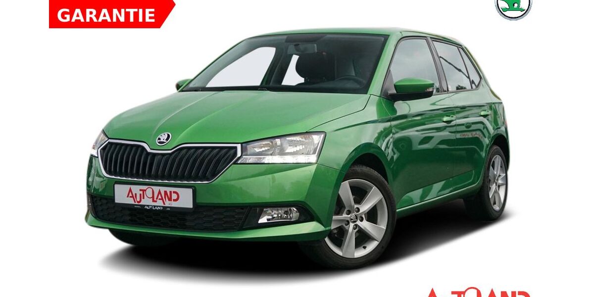 Skoda Fabia 24.725 km 15.950 &euro; Hoppegarten OT Hönow 15366