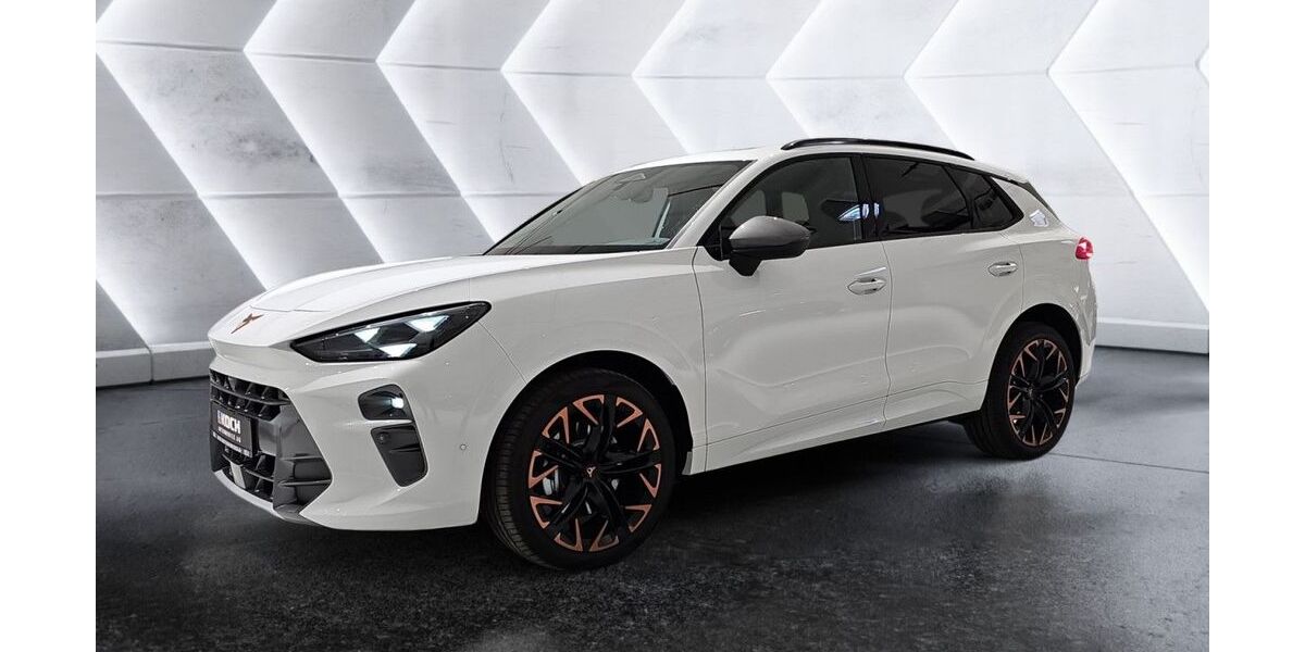 Cupra Terramar 1.100 km 39.490 &euro; Schönefeld 12529