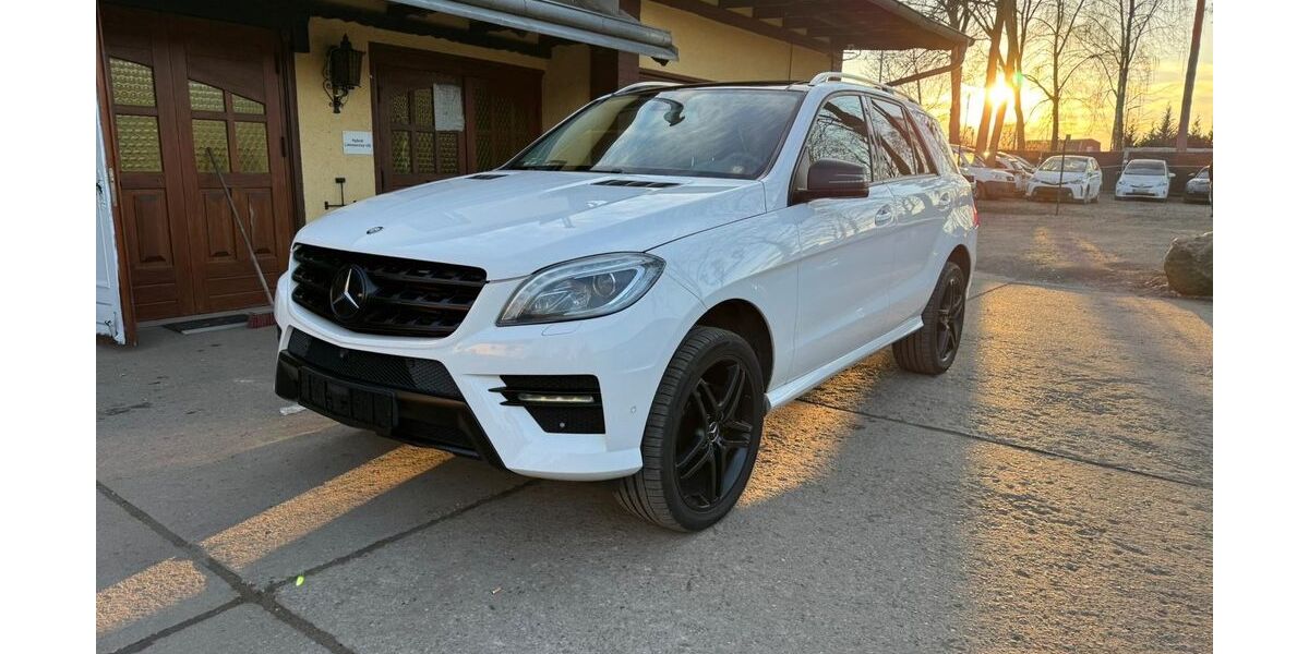 Mercedes-Benz ML 350 272.000 km 18.500 &euro; Berlin 12349